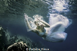 "Locked souls" by Plamena Mileva 